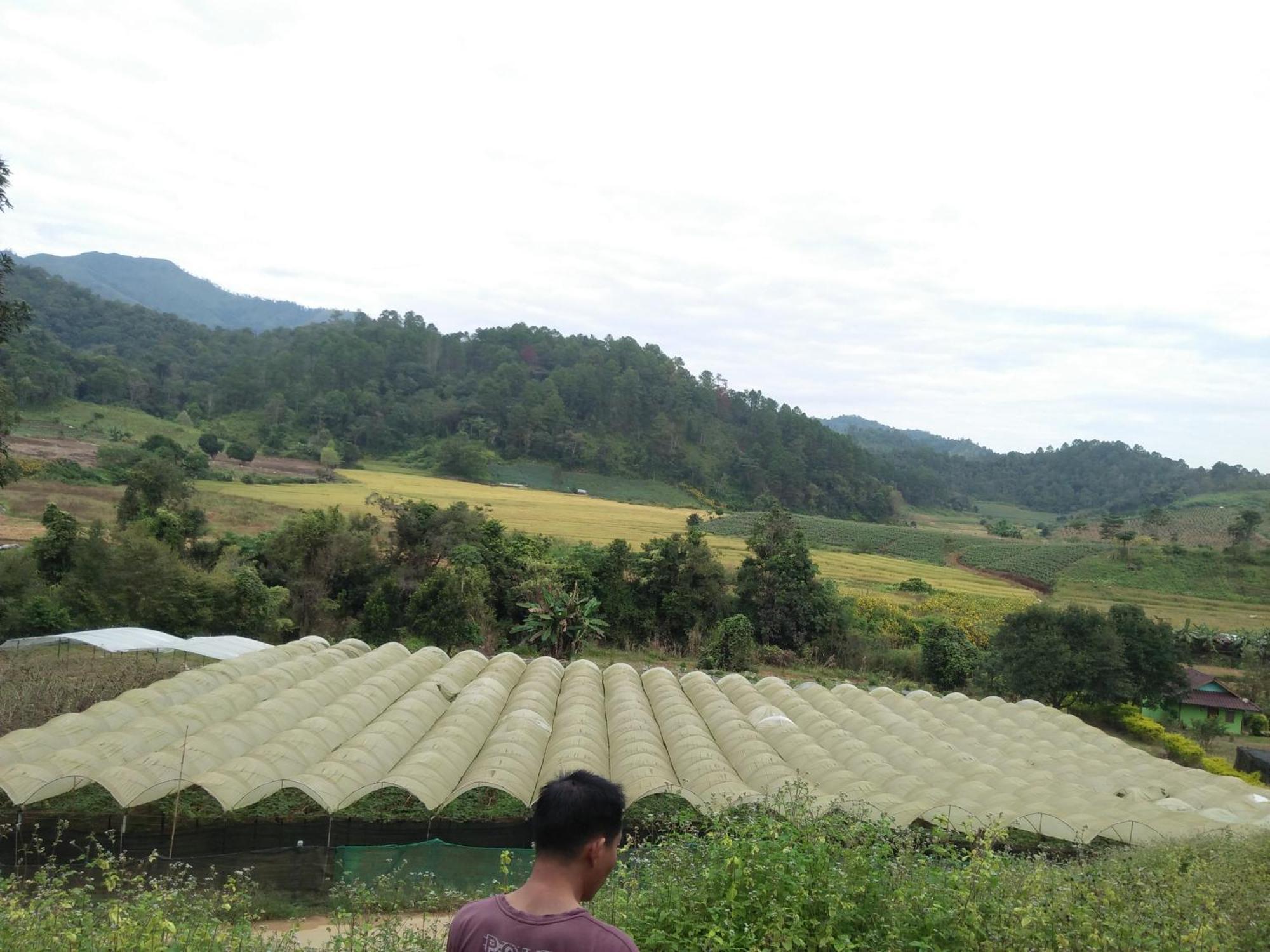 Mong Homestay Resort Pang Ung المظهر الخارجي الصورة
